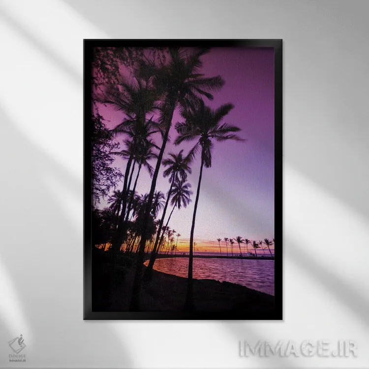 تابلو دکوراتیو Kohala Coast, Big Island, Hawaii, USA,غروب از میان نخل های سی… اثر راس بیشاپ - نمای قابدار مشکی
