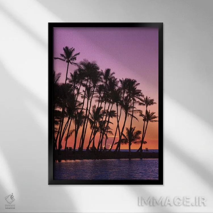 تابلو دکوراتیو Kohala Coast, Big Island, Hawaii, USA,غروب از میان نخل های سی… اثر راس بیشاپ - نمای قابدار مشکی