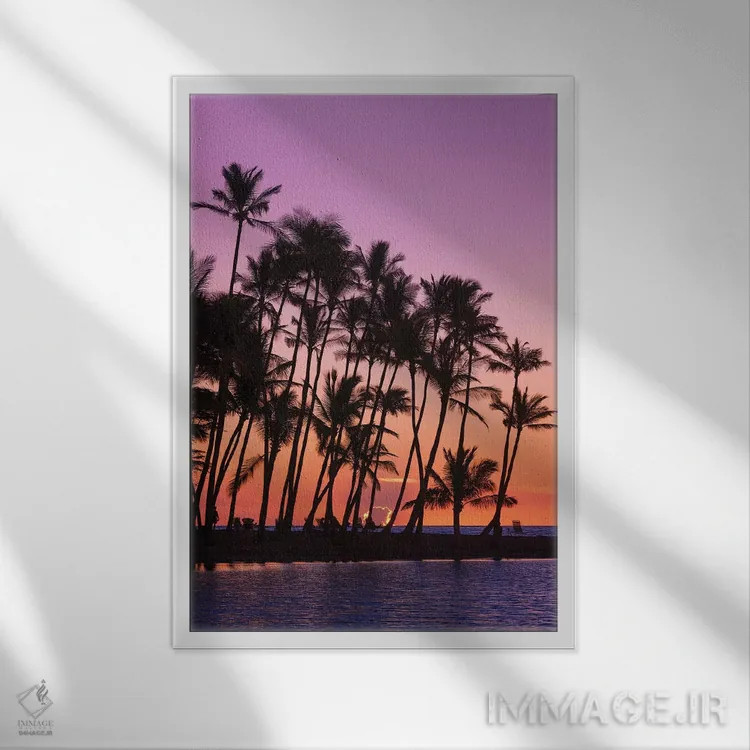 تابلو دکوراتیو Kohala Coast, Big Island, Hawaii, USA,غروب از میان نخل های سی… اثر راس بیشاپ - نمای قابدار سفید