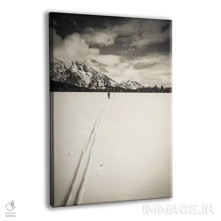 تابلو دکوراتیو Grand Teton National Park, Wyoming, USA,اسکی باز در منطقه دور… اثر راس بیشاپ - نمای پرسپکتیو محصول