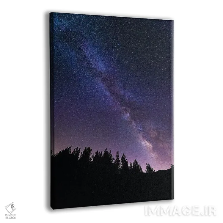 تابلو دکوراتیو Los Padres National Forest, California, USA,راه شیری بر فراز… اثر راس بیشاپ - نمای پرسپکتیو محصول