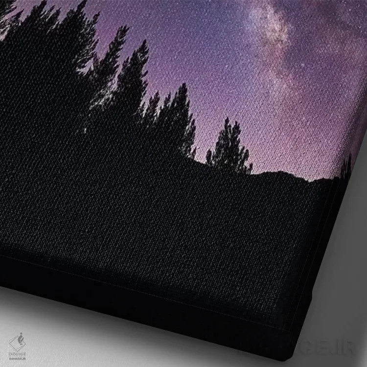تابلو دکوراتیو Los Padres National Forest, California, USA,راه شیری بر فراز… اثر راس بیشاپ - نمای نزدیک بافت بوم