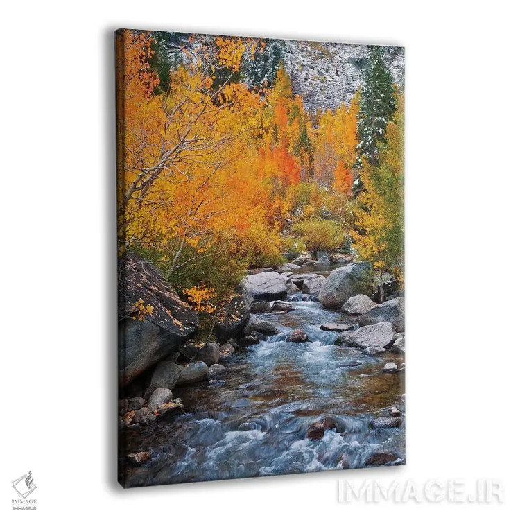 تابلو دکوراتیو Bishop Creek, Inyo National Forest, California, USA,رنگ های پ… اثر راس بیشاپ - نمای پرسپکتیو محصول