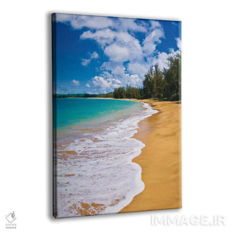 تابلو دکوراتیو Island of Kauai, Hawaii, USA,ساحل خالی و آب های آبی اقیانوس آ… اثر راس بیشاپ - نمای پرسپکتیو محصول