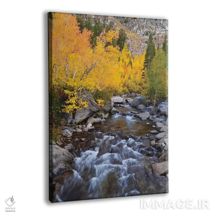 تابلو دکوراتیو Bishop Creek, Inyo National Forest, California, USA,رنگ های پ… اثر راس بیشاپ - نمای پرسپکتیو محصول