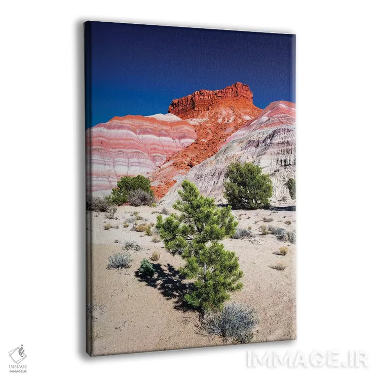 تابلو دکوراتیو Grand Staircase-Escalante National Monument, Utah, USA,نور شا… اثر راس بیشاپ - نمای پرسپکتیو محصول