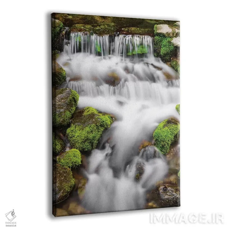 تابلو دکوراتیو Yosemite National Park, California, USA,چشمه سرخس I، پارک ملی… اثر راس بیشاپ - نمای پرسپکتیو محصول