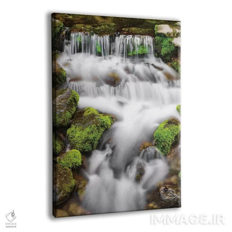 تابلو دکوراتیو Yosemite National Park, California, USA,چشمه سرخس I، پارک ملی… اثر راس بیشاپ - نمای پرسپکتیو محصول