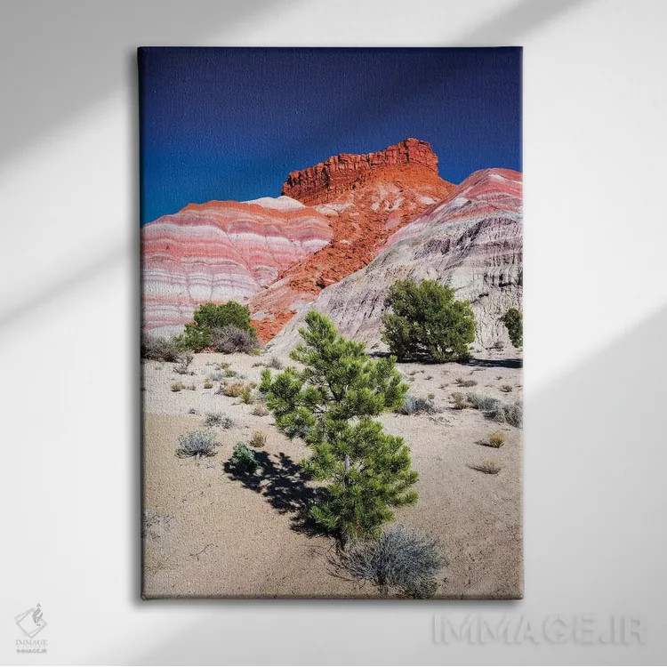 تابلو دکوراتیو Grand Staircase-Escalante National Monument, Utah, USA,نور شا… اثر راس بیشاپ - نمای روبهرو روی دیوار