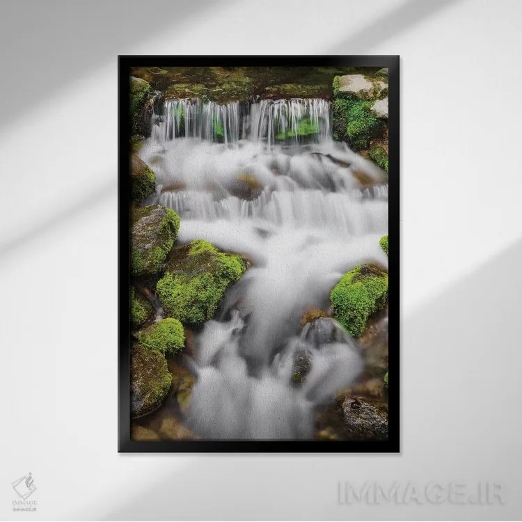 تابلو دکوراتیو Yosemite National Park, California, USA,چشمه سرخس I، پارک ملی… اثر راس بیشاپ - نمای قابدار مشکی
