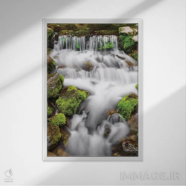 تابلو دکوراتیو Yosemite National Park, California, USA,چشمه سرخس I، پارک ملی… اثر راس بیشاپ - نمای قابدار سفید