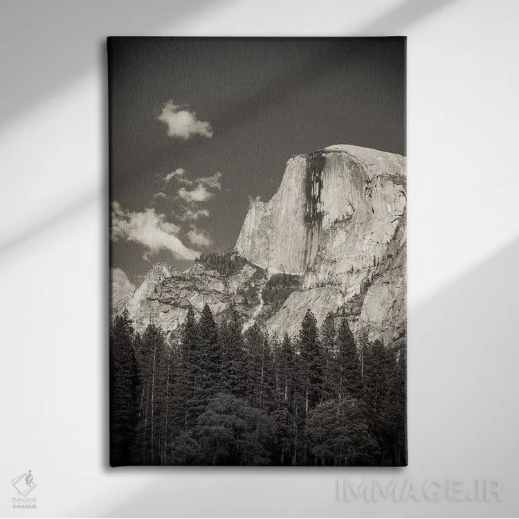 تابلو دکوراتیو Yosemite National Park, California, USA,نیم گنبد، پارک ملی یو… اثر راس بیشاپ - نمای روبهرو روی دیوار
