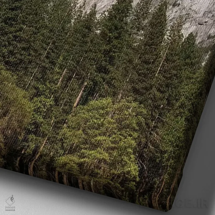 تابلو دکوراتیو Yosemite National Park, California, USA,نیم گنبد، پارک ملی یو… اثر راس بیشاپ - نمای نزدیک بافت بوم