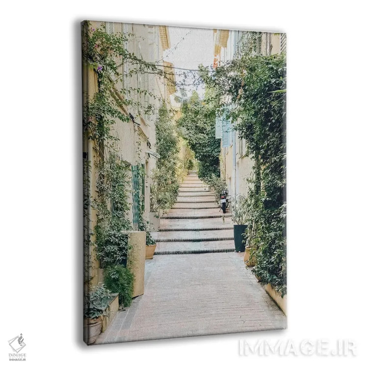 تابلو دکوراتیو France, French Riviera, Cote D'Azur,خیابان های زیبای آنتیب د… اثر رادو برکان - نمای پرسپکتیو محصول