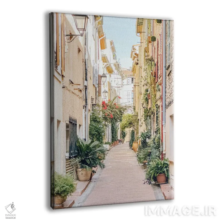 تابلو دکوراتیو France, French Riviera, Cote D'Azur,خیابان شهر آنتیب در پایی… اثر رادو برکان - نمای پرسپکتیو محصول