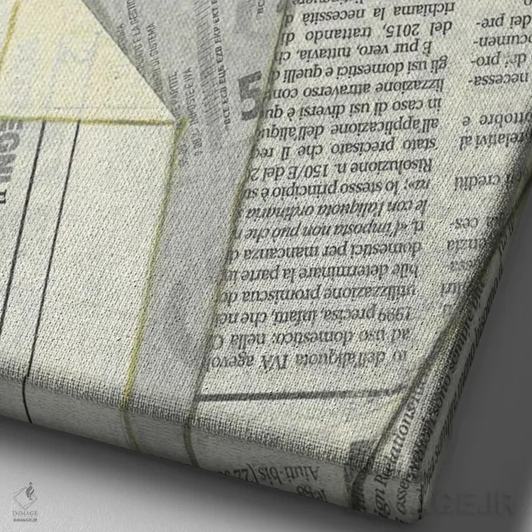 تابلو دکوراتیو ماهی کولی پیچیده شده در کیسه روزنامه اثر کاتیا ریچی - نمای نزدیک بافت بوم