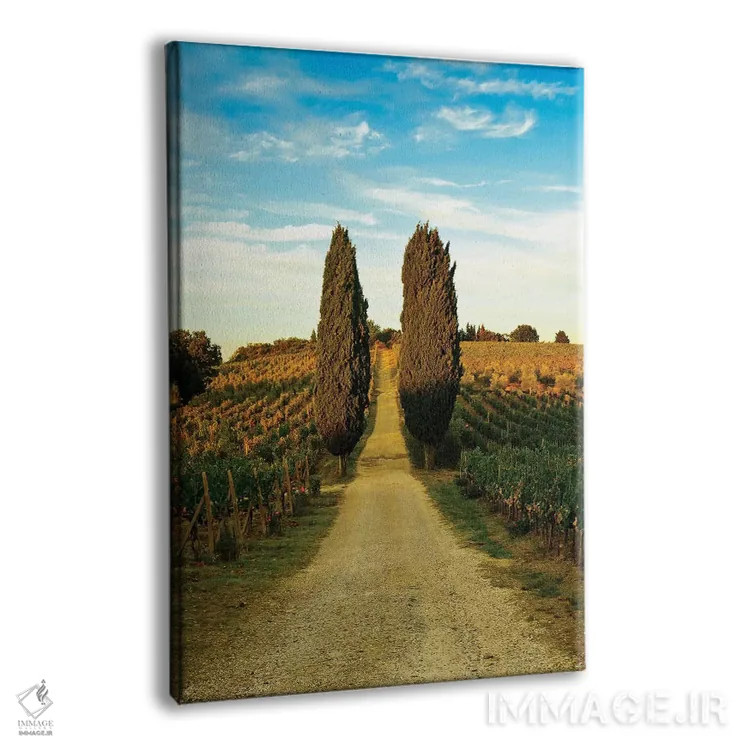 تابلو دکوراتیو Panzano In Chianti, Florence Province, Tuscany Region, Ita… اثر ریچارد دووال - نمای پرسپکتیو محصول