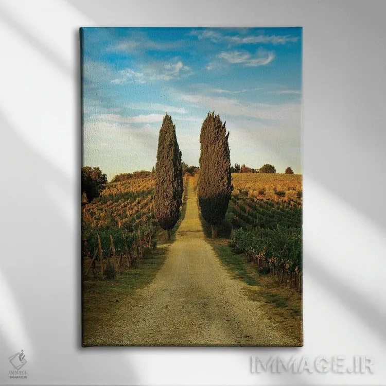 تابلو دکوراتیو Panzano In Chianti, Florence Province, Tuscany Region, Ita… اثر ریچارد دووال - نمای روبهرو روی دیوار