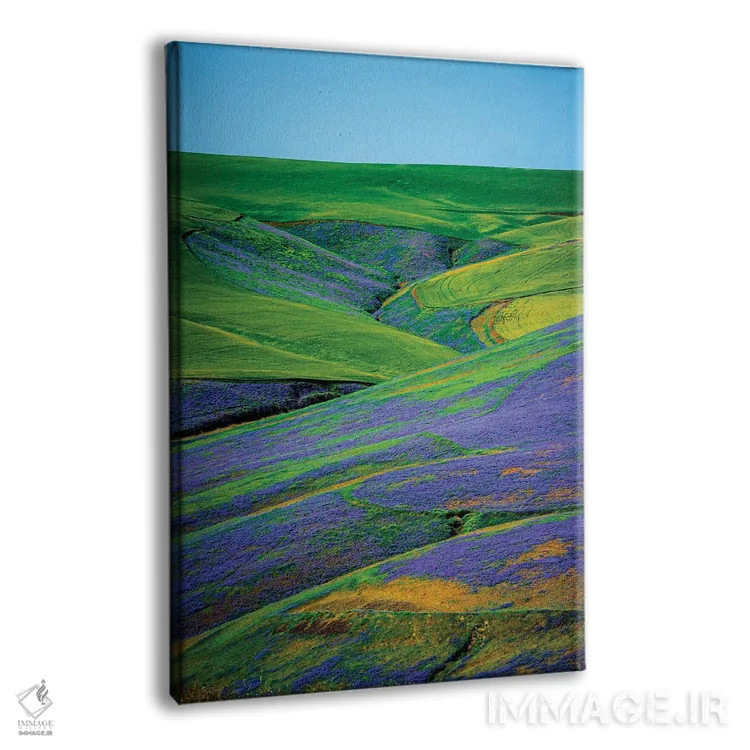 تابلو دکوراتیو Washington State, Walla Walla. Vetch Contributes Biomass T… اثر ریچارد دووال - نمای پرسپکتیو محصول