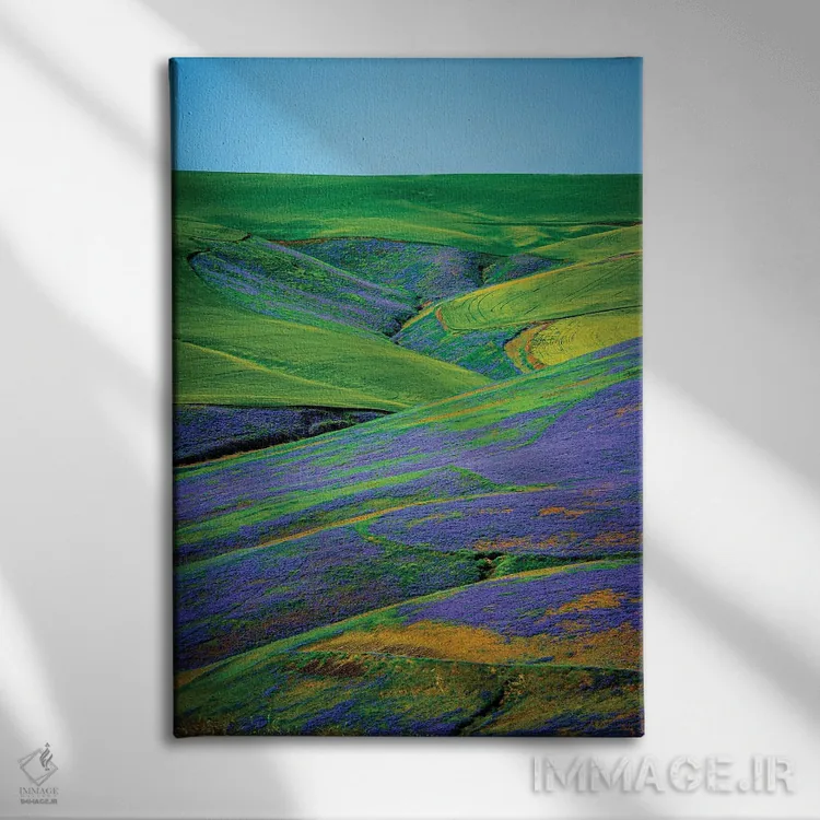 تابلو دکوراتیو Washington State, Walla Walla. Vetch Contributes Biomass T… اثر ریچارد دووال - نمای روبهرو روی دیوار