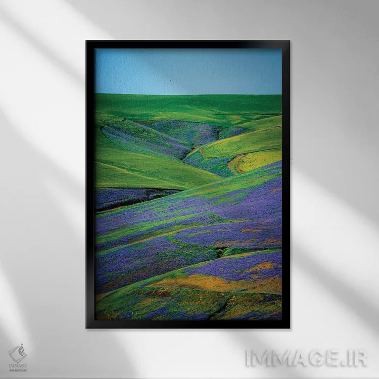 تابلو دکوراتیو Washington State, Walla Walla. Vetch Contributes Biomass T… اثر ریچارد دووال - نمای قابدار مشکی