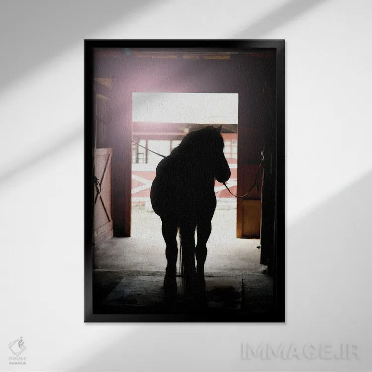 تابلو دکوراتیو سیلوئت اسب اثر میشل رید - نمای قابدار مشکی