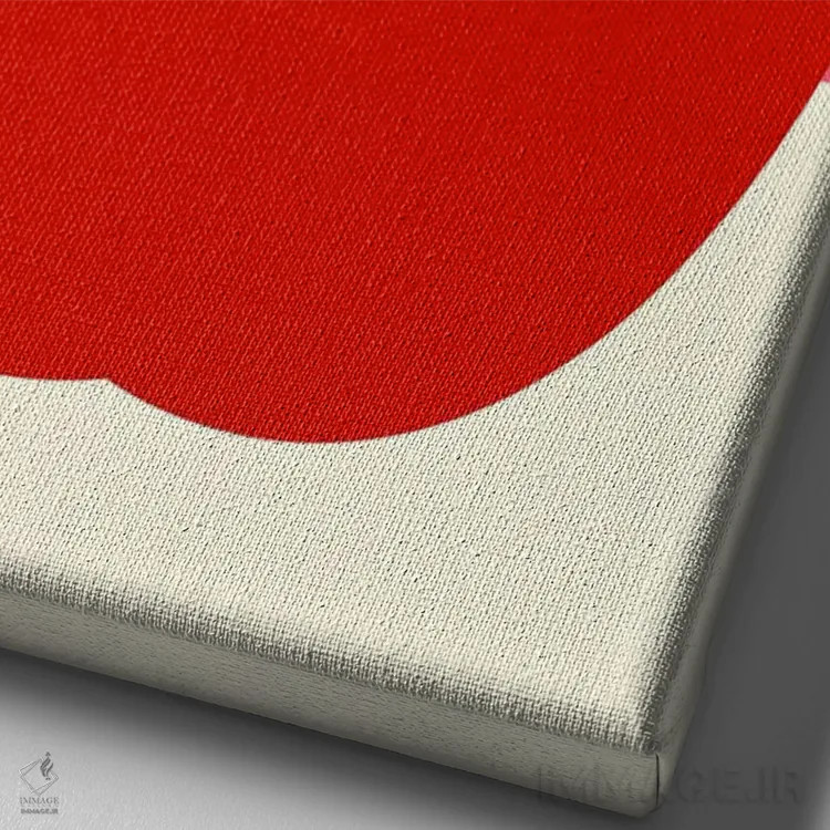 تابلو مینیمال سیب قرمز اثر روزی فایست - نمای نزدیک بافت بوم