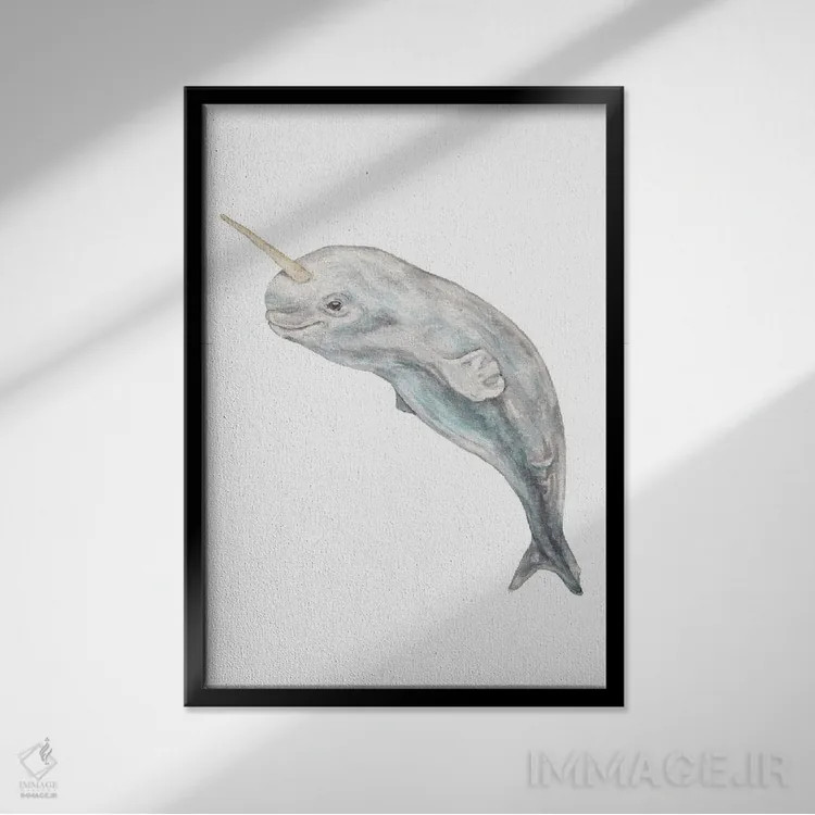 تابلو دکوراتیو نارووال بچه آبرنگی اثر واندرینگ لور - نمای قابدار مشکی