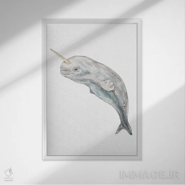 تابلو دکوراتیو نارووال بچه آبرنگی اثر واندرینگ لور - نمای قابدار سفید