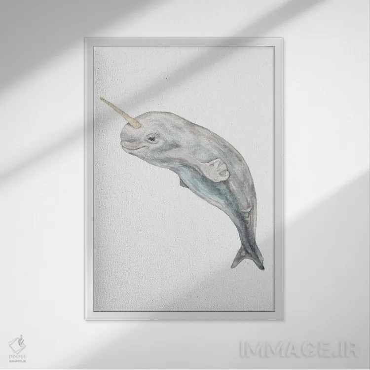 تابلو دکوراتیو نارووال بچه آبرنگی اثر واندرینگ لور - نمای قابدار سفید
