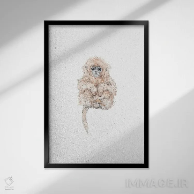 تابلو دکوراتیو میمون تامارین نوزاد آبرنگی شیرین اثر واندرینگ لور - نمای قابدار مشکی