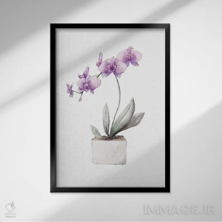 تابلو دکوراتیو ارکیده ها اثر واندرینگ لور - نمای قابدار مشکی