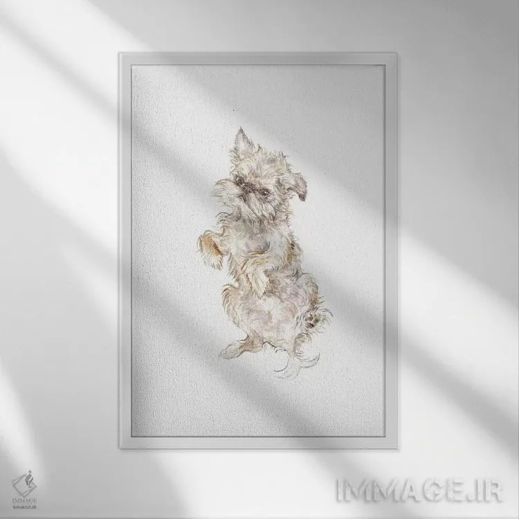 تابلو دکوراتیو بروکسل گریفون اثر واندرینگ لور - نمای قابدار سفید
