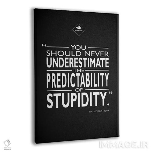 تابلو دکوراتیو قاپ زنی اثر مارک روگان - نمای پرسپکتیو محصول