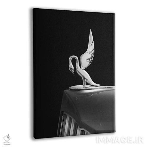 تابلو دکوراتیو پاکارد توئلو مدل ۱۹۳۹ اثر مارک روگان - نمای پرسپکتیو محصول