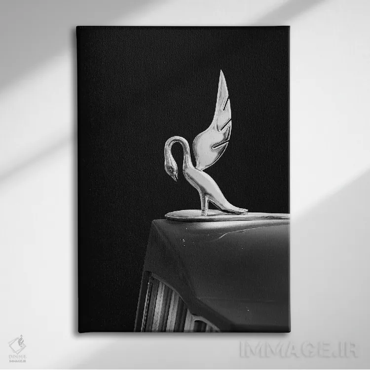 تابلو دکوراتیو پاکارد توئلو مدل ۱۹۳۹ اثر مارک روگان - نمای روبهرو روی دیوار