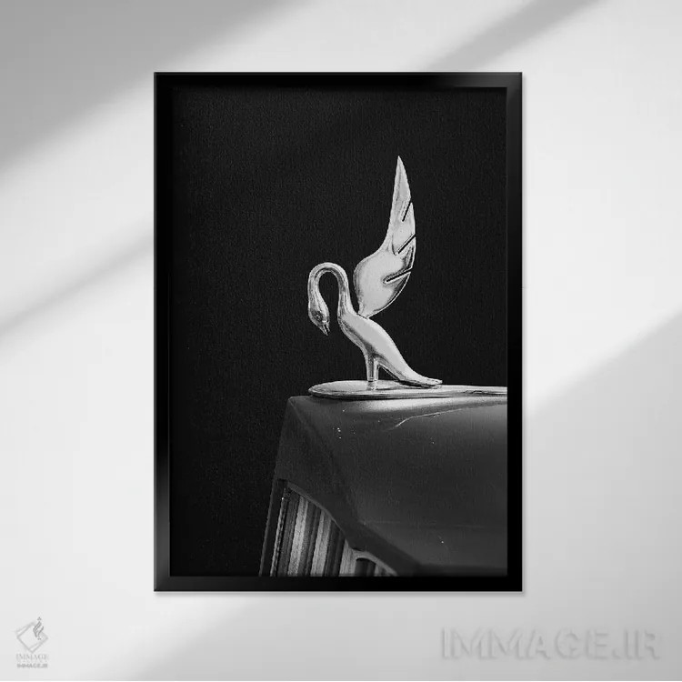 تابلو دکوراتیو پاکارد توئلو مدل ۱۹۳۹ اثر مارک روگان - نمای قابدار مشکی