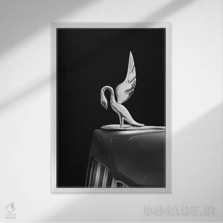 تابلو دکوراتیو پاکارد توئلو مدل ۱۹۳۹ اثر مارک روگان - نمای قابدار سفید