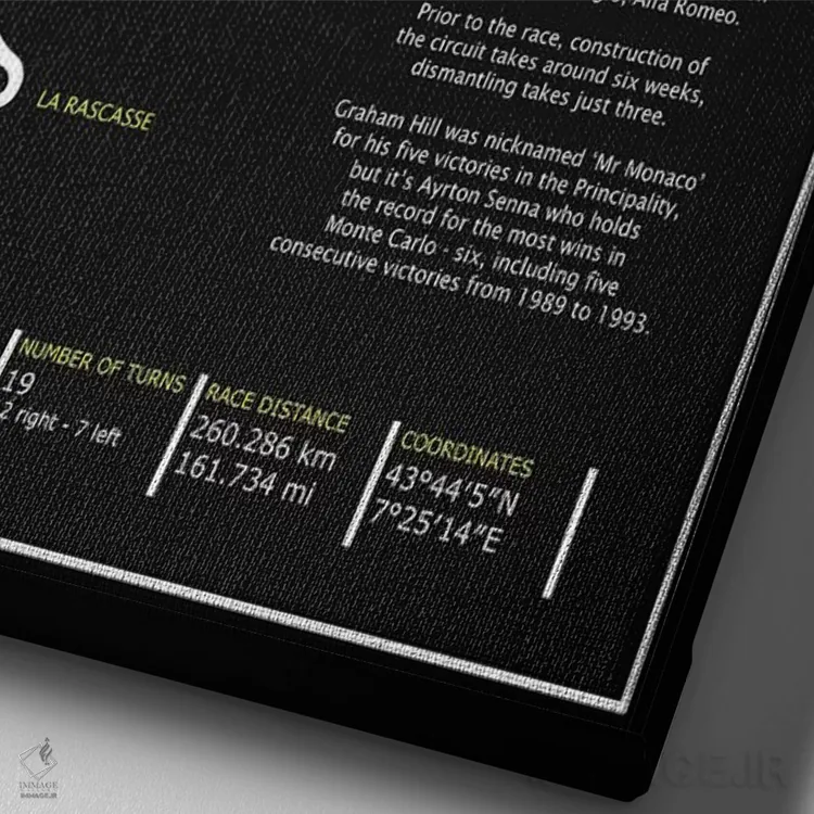 تابلو دکوراتیو پیست موناکو BL اثر مارک روگان - نمای نزدیک بافت بوم