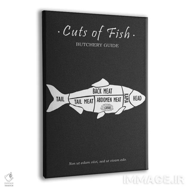 تابلو مینیمال گوشت ماهی قصابی اثر مارک روگان - نمای پرسپکتیو محصول