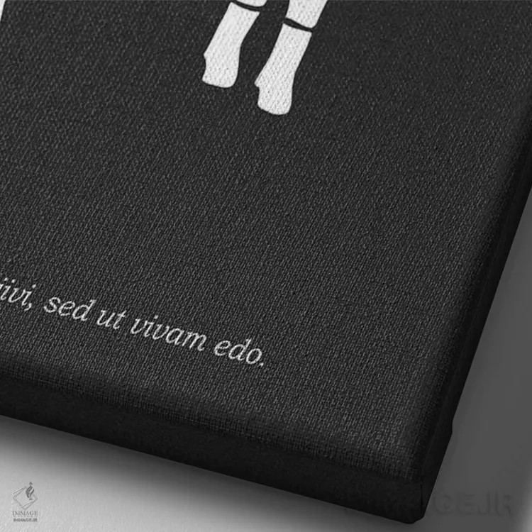 تابلو مینیمال گوشت گاو قصابی اثر مارک روگان - نمای نزدیک بافت بوم