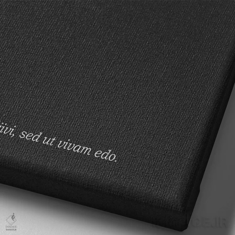 تابلو مینیمال گوشت ماهی قصابی اثر مارک روگان - نمای نزدیک بافت بوم