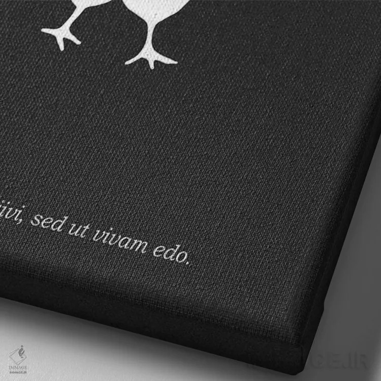 تابلو مینیمال گوشت مرغ قصابی اثر مارک روگان - نمای نزدیک بافت بوم