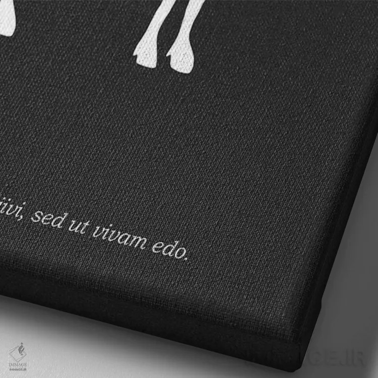 تابلو مینیمال گوشت بز قصابی اثر مارک روگان - نمای نزدیک بافت بوم