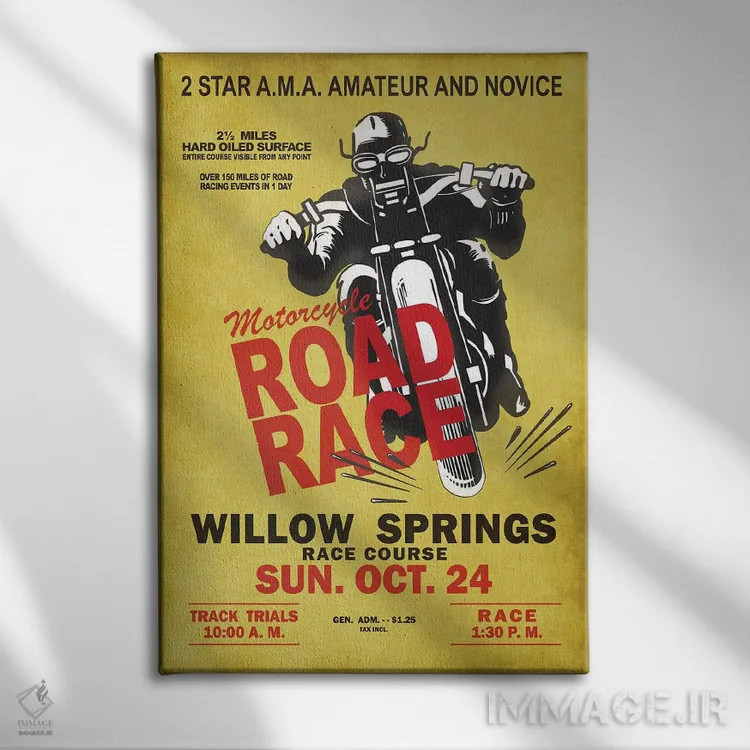 تابلو دکوراتیو مسابقه جاده ویلو اسپرینگز اثر مارک روگان - نمای روبهرو روی دیوار