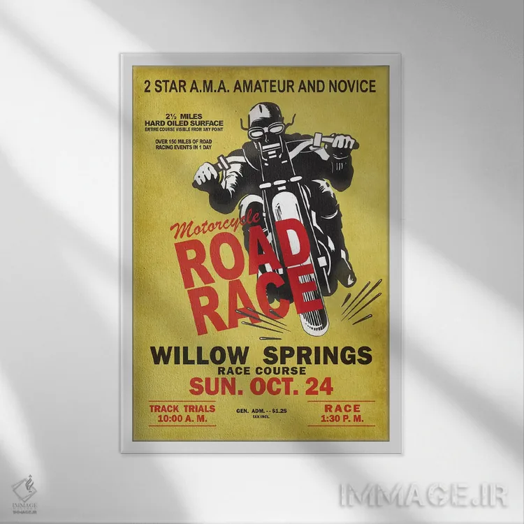 تابلو دکوراتیو مسابقه جاده ویلو اسپرینگز اثر مارک روگان - نمای قابدار سفید