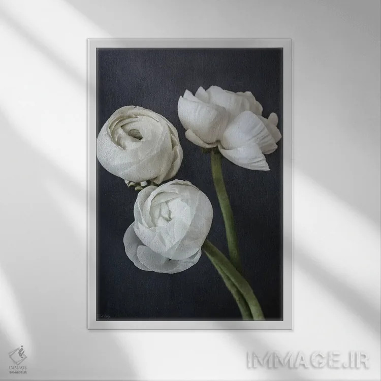 تابلو دکوراتیو زیبایی تصفیه شده اثر جنیفر ریگزبی - نمای قابدار سفید