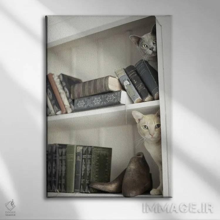 تابلو دکوراتیو مرلین و نایت اثر راشل هیل - نمای روبهرو روی دیوار