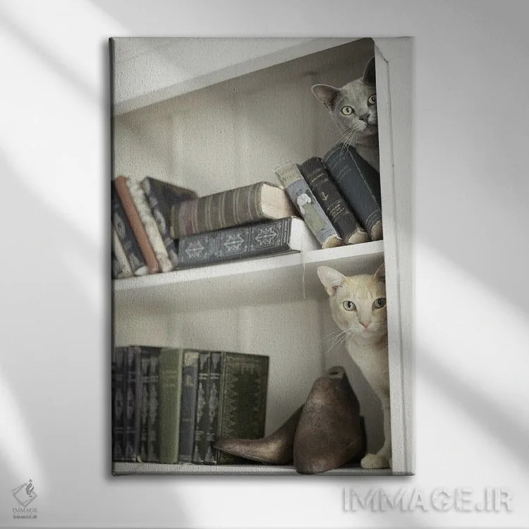 تابلو دکوراتیو مرلین و نایت اثر راشل هیل - نمای روبهرو روی دیوار