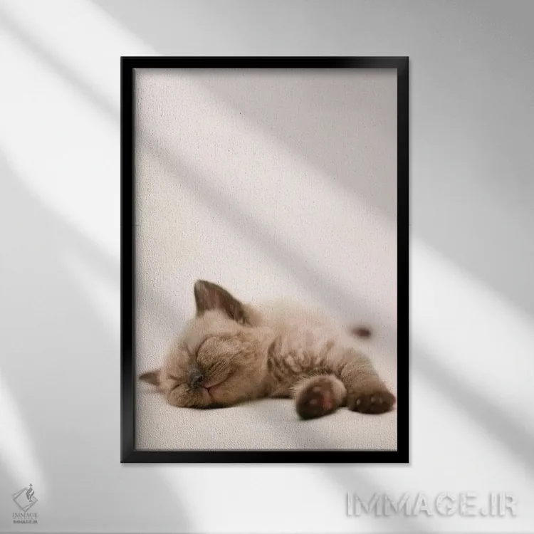 تابلو دکوراتیو مارکوس اثر راشل هیل - نمای قابدار مشکی